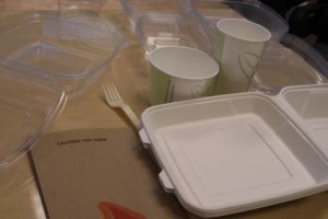 What Are Bioplastics Used For?